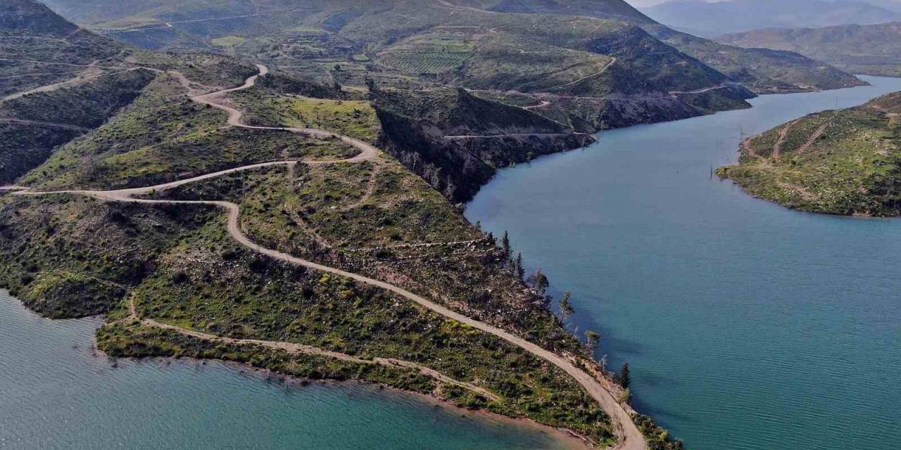 Cumhuriyet Tarihinin En Büyük Yangından Sonra Griden Yeşile Dönüş