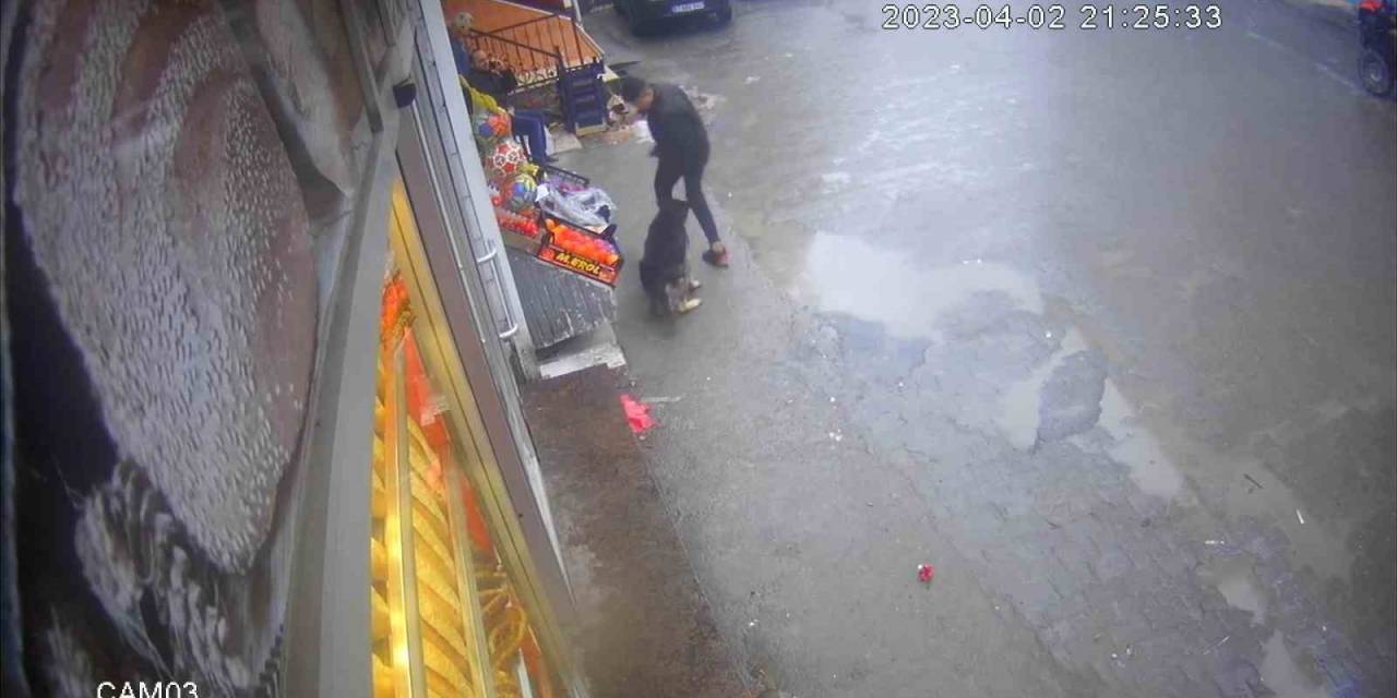 Köpeğin Çocuğa Saldırma Anı Kamerada