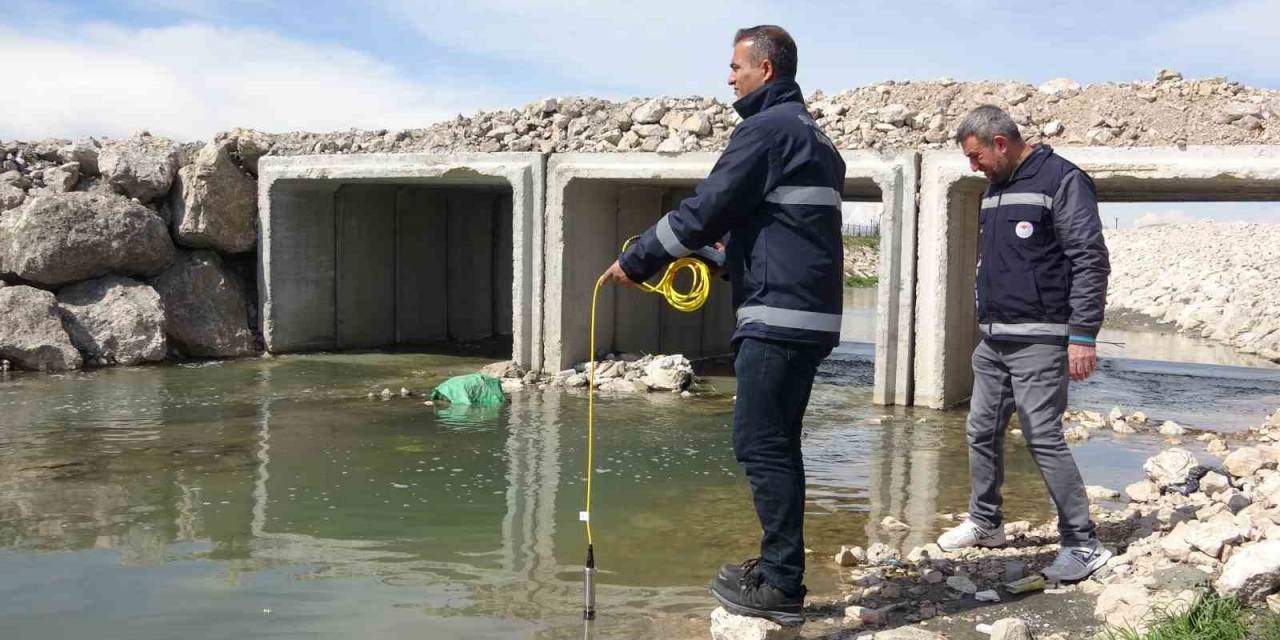Van Gölü’ndeki İnci Kefallerinin Göçü Geç Başlayacak