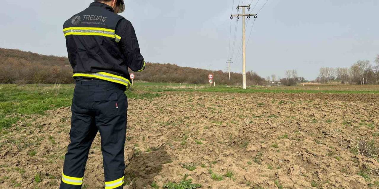 Dron İle Leylek Yuvalarına Bahar Bakımı