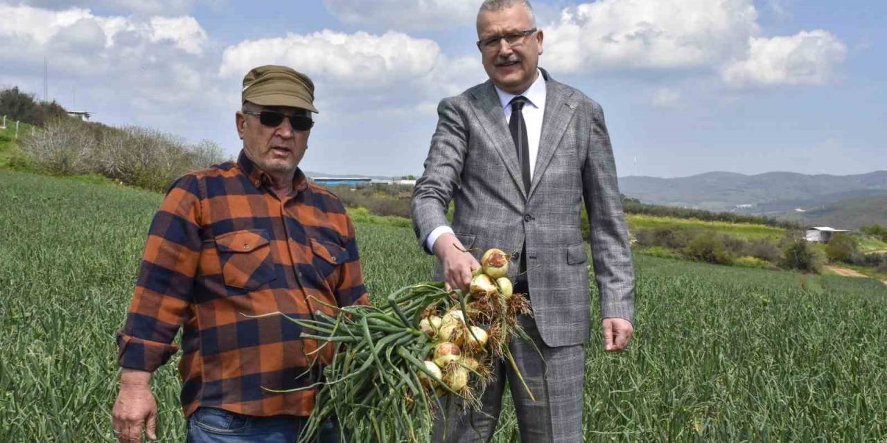 Soğan Fiyatları Bayramdan Sonra Düşecek