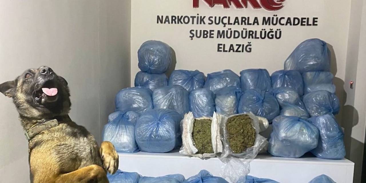Elazığ’da 123 Kilo Uyuşturucu Madde Ele Geçirildi: 11 Tutuklama