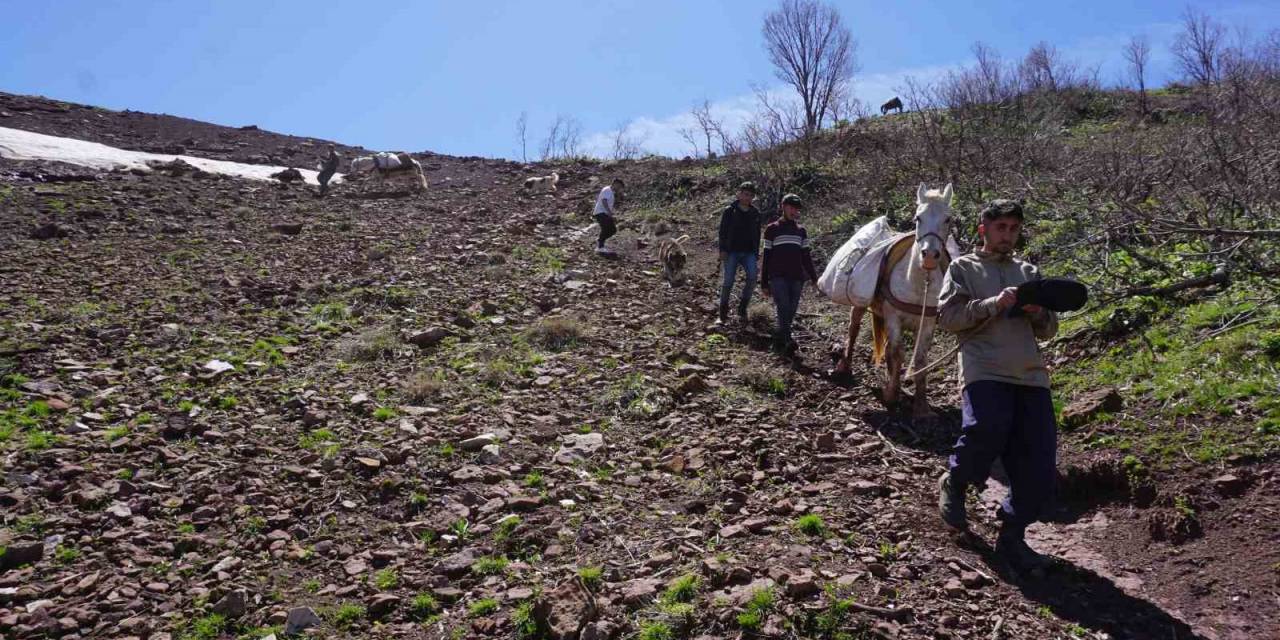 Terörün Yerini Huzura Bıraktığı Dağlar, İnsanlarla Dolup Taştı