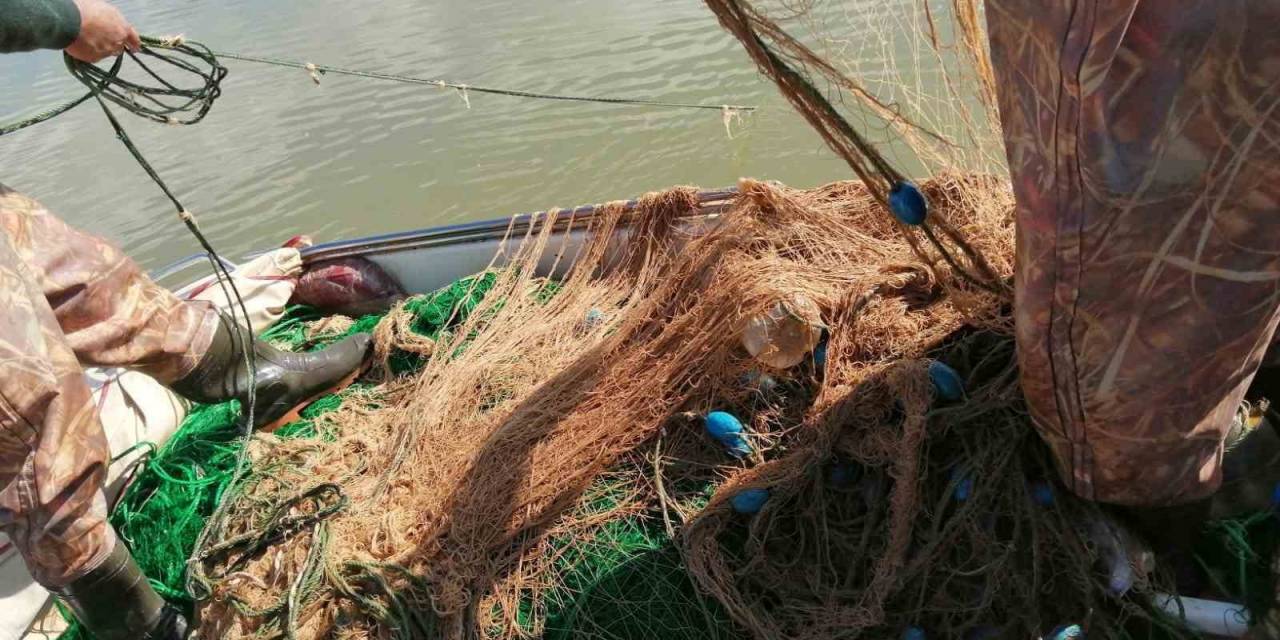 Elazığ’da Kaçak Avlandığı Tespit Edilen 100 Kilo Canlı Balık Ele Geçirildi