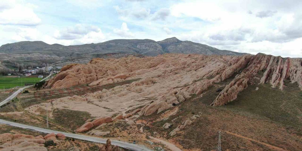 Dünyadaki Mars, Dikilen Ağaçlarla Yeşerecek