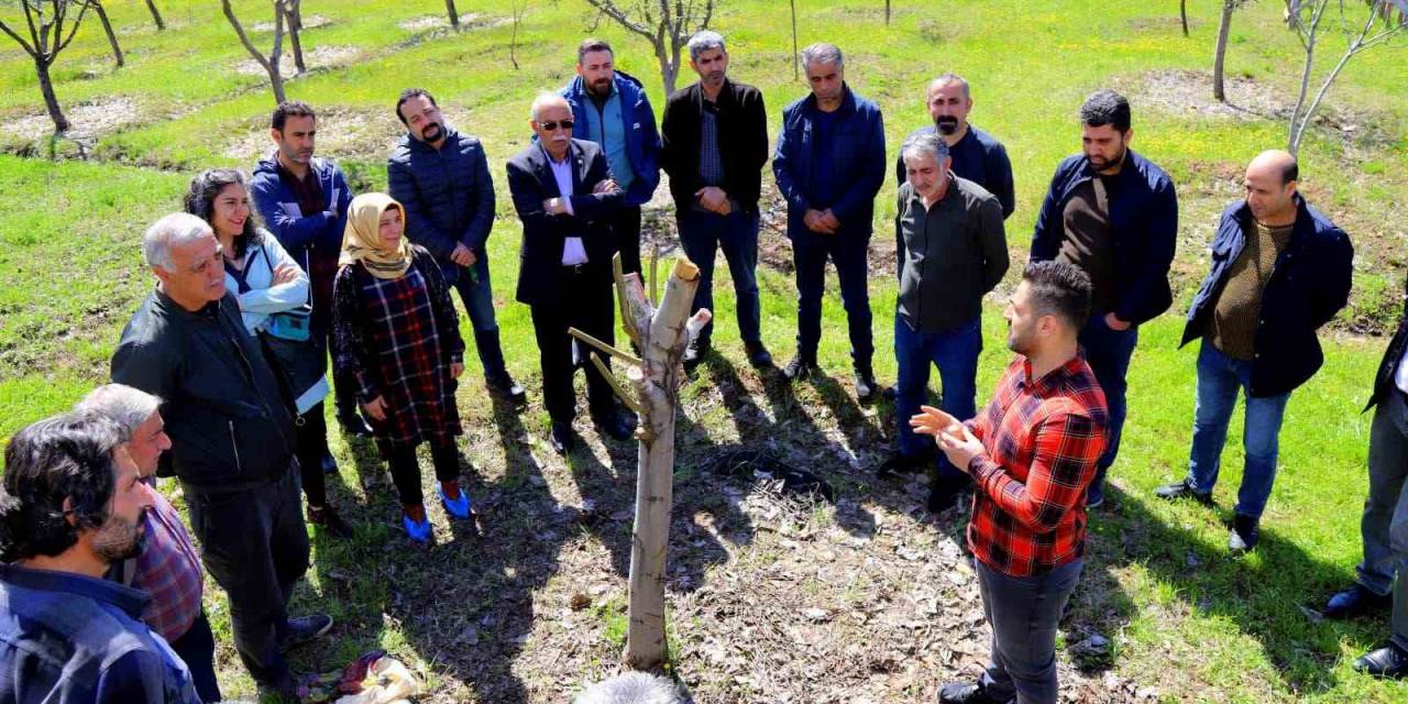 Bingöl’de Ağaç Budama Ve Aşılama Eğitimi Başladı