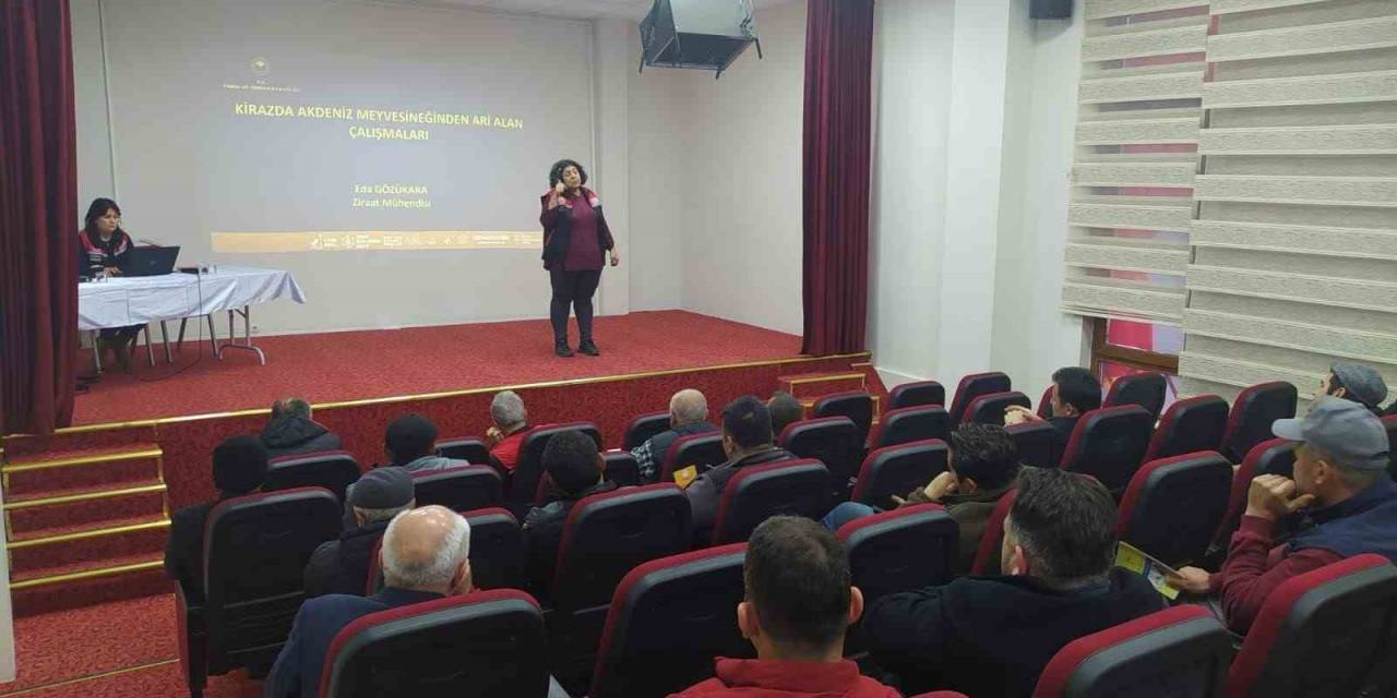 Mihalıççık’ta Kiraz Üreticilerine Yönelik Eğitimler Devam Ediyor