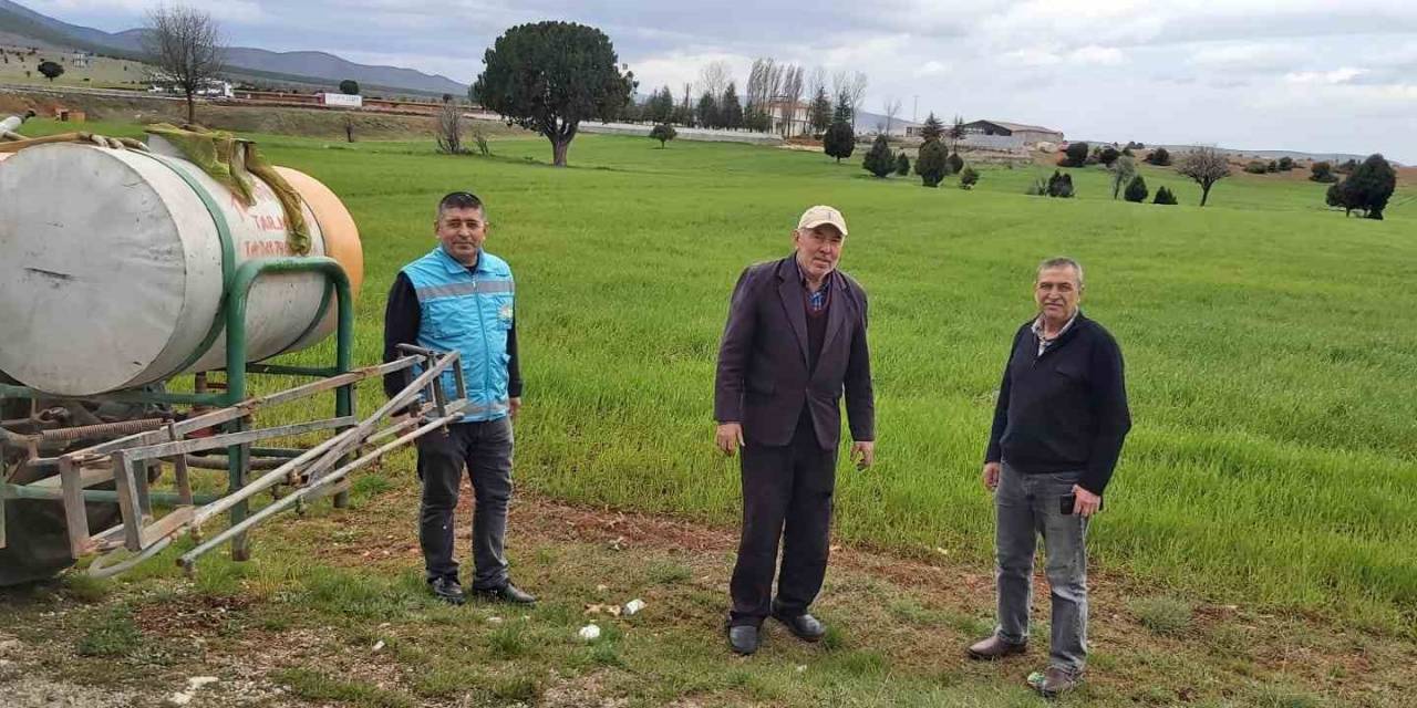 Kütahya’da Zabrus Zararlısı İle Zirai Mücadele Çalışmaları