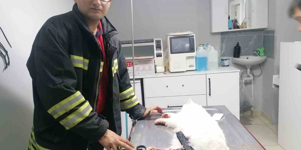 İtfaiye Kurtardığı Kediyi Veteriner Kliniğine Götürdü