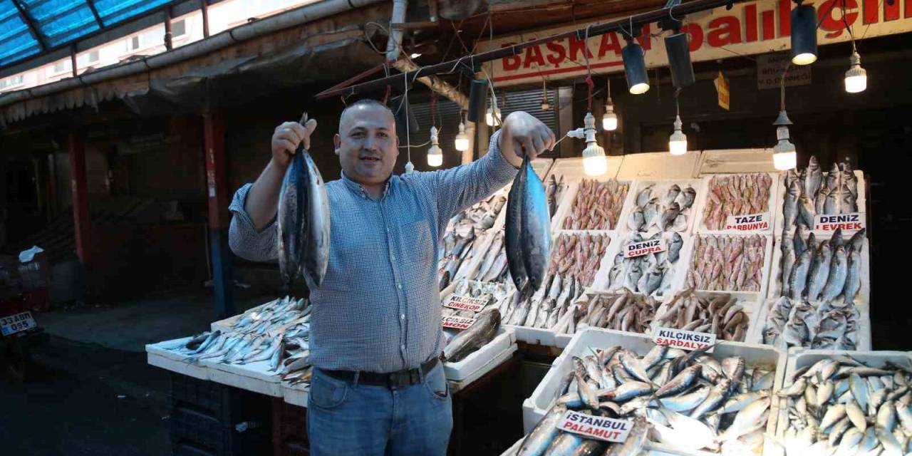 Bu Senenin Balık Şampiyonu ’palamut’ Oldu
