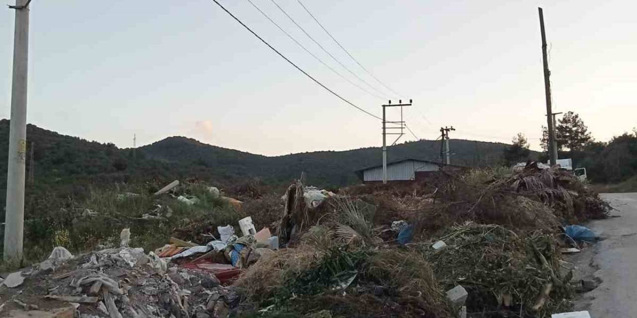 Turistik Belde Güllük Adeta Çöplük Oldu, Vatandaşlar Milas Belediyesi’ni Göreve Davet Etti