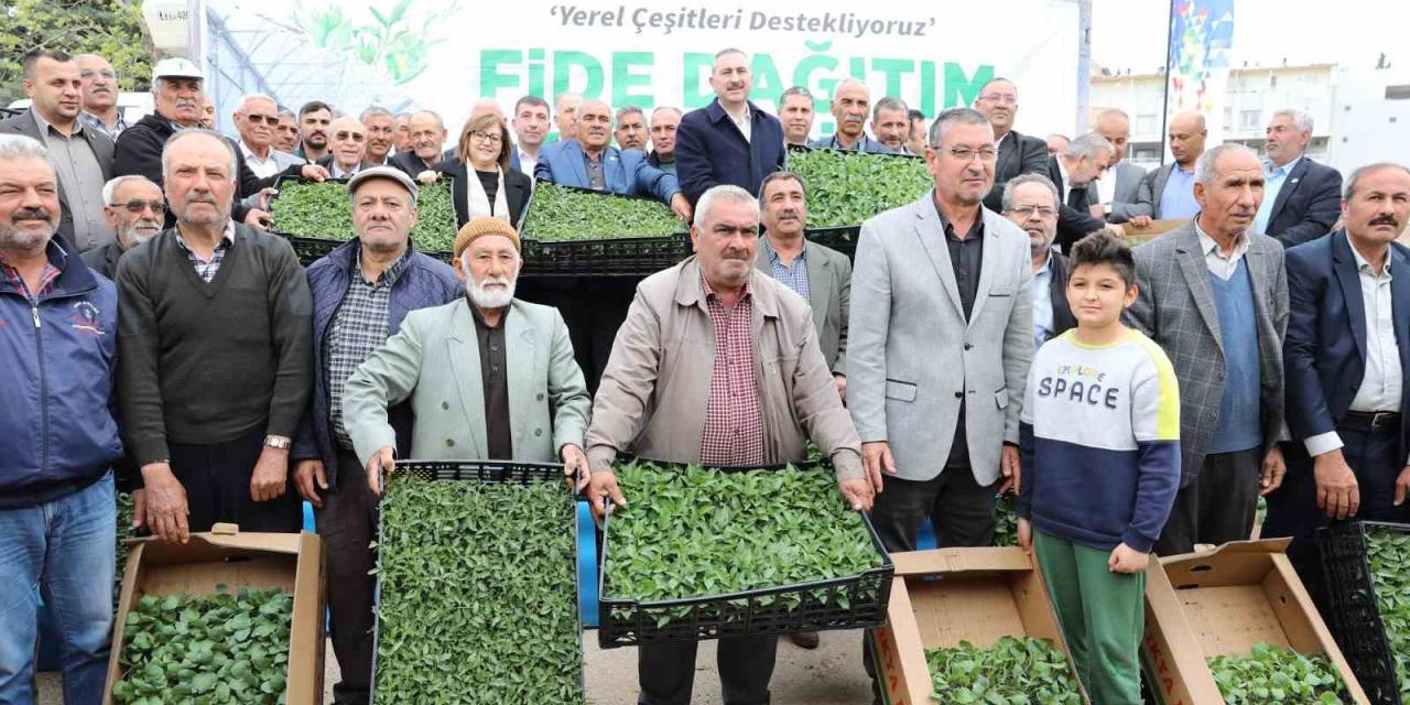 Gaziantep’te Çiftçilere 2 Milyon Adet Fide Desteği