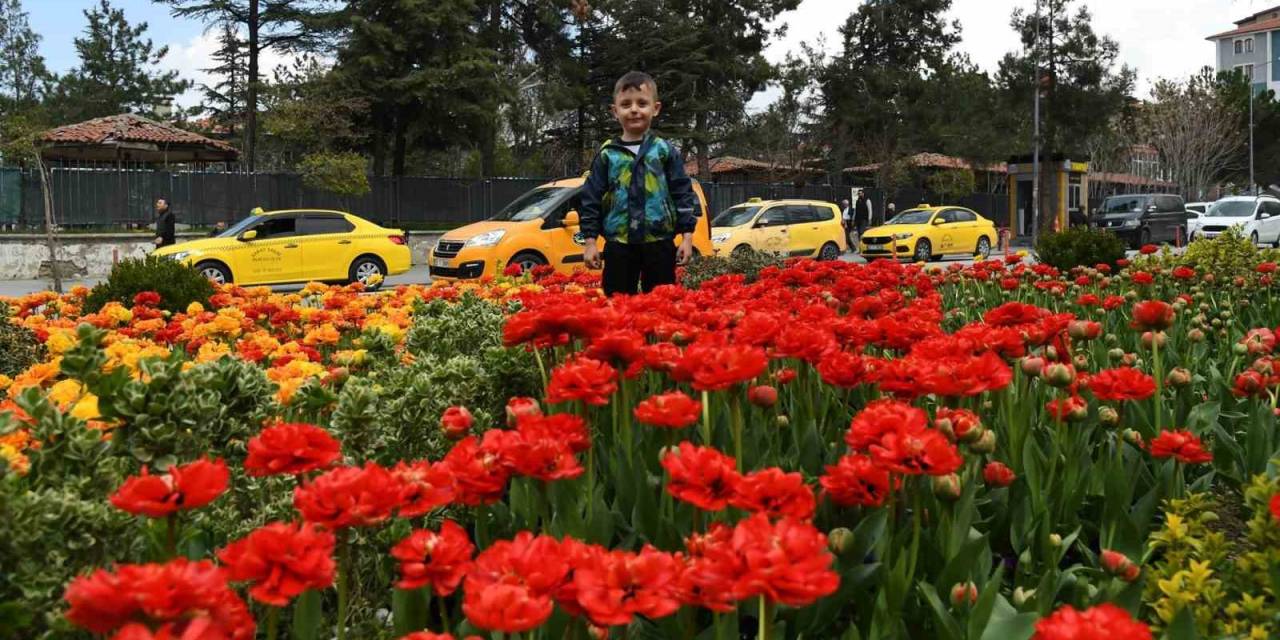 Isparta’da İlkbaharın Renkli Havası Çiçeklere Yansıyor