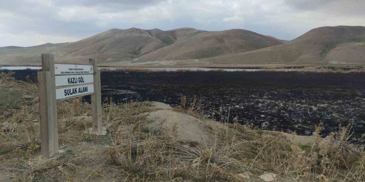 Birçok Kuş Türüne Ev Sahipliği Yapan Kazlıgöl Sazlığı Yandı