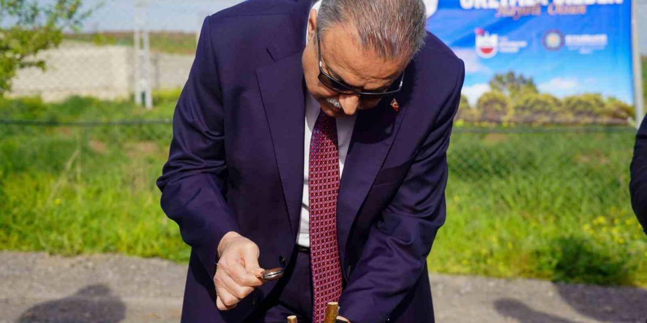 Vali Ali İhsan Su, 200 Bin Fıstık Ve 12 Bin Ceviz Aşılama Çalışmasını Başlattı