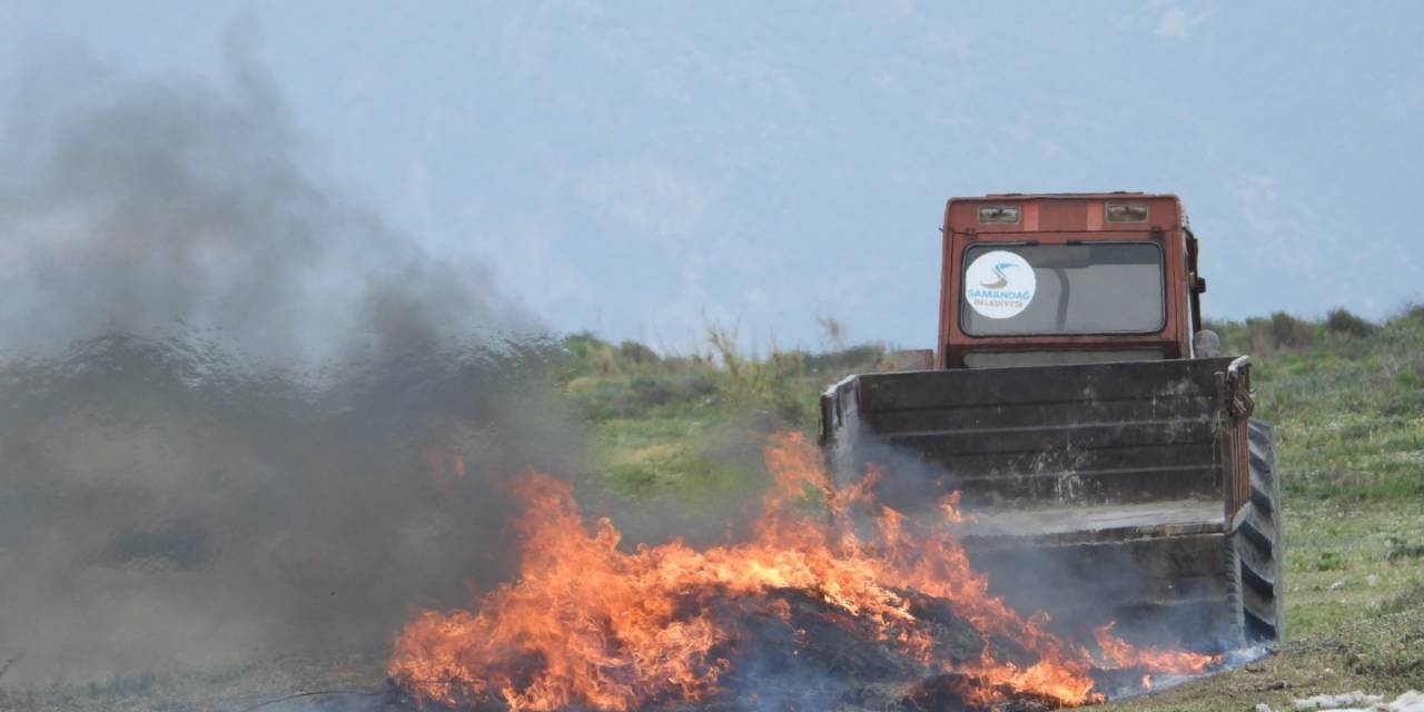 Belediye Ekipleri, Kuş Cennetine Çöp Döküp Yaktı