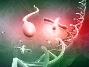 Erkek Kısırlığında Çığır Açan Yöntem Türkiye’de