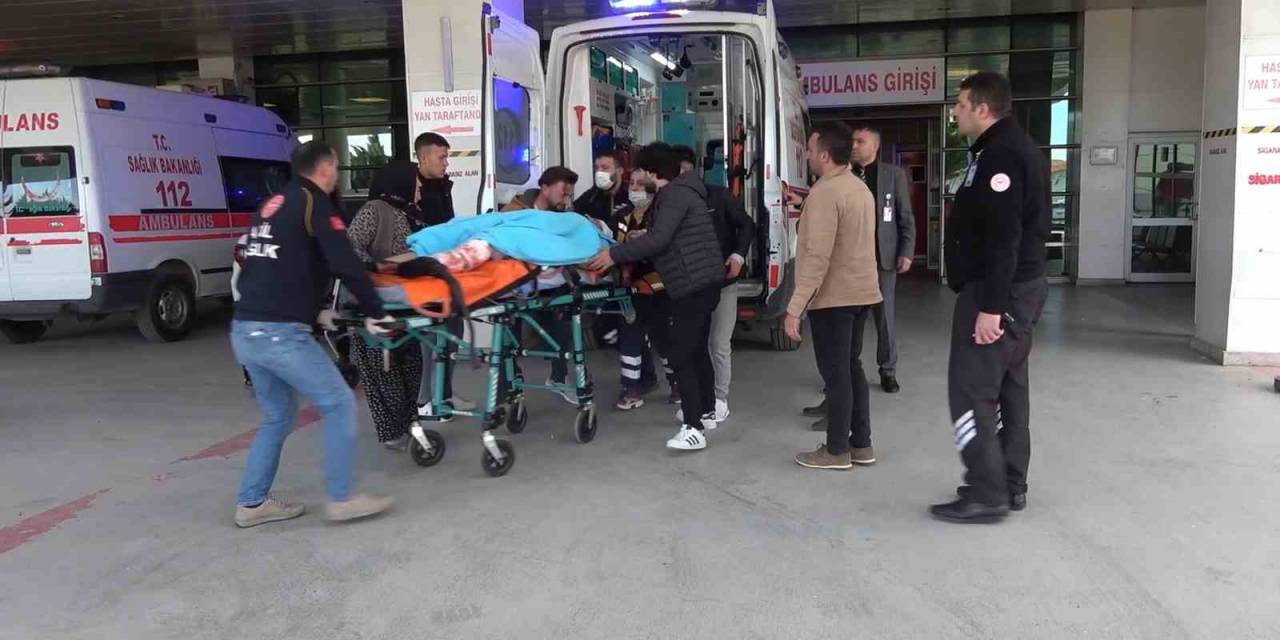 Tarlaya Giren Hayvan Kavgası Kanlı Bitti: Öldürdüğü Gardiyanın Kardeşini De Ağır Yaraladı