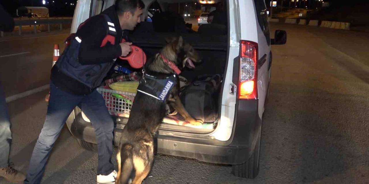 43 İlin Geçiş Güzergahında Gece Yarısı Narkotik Köpekli Denetim: Araçlar Didik Didik Arandı