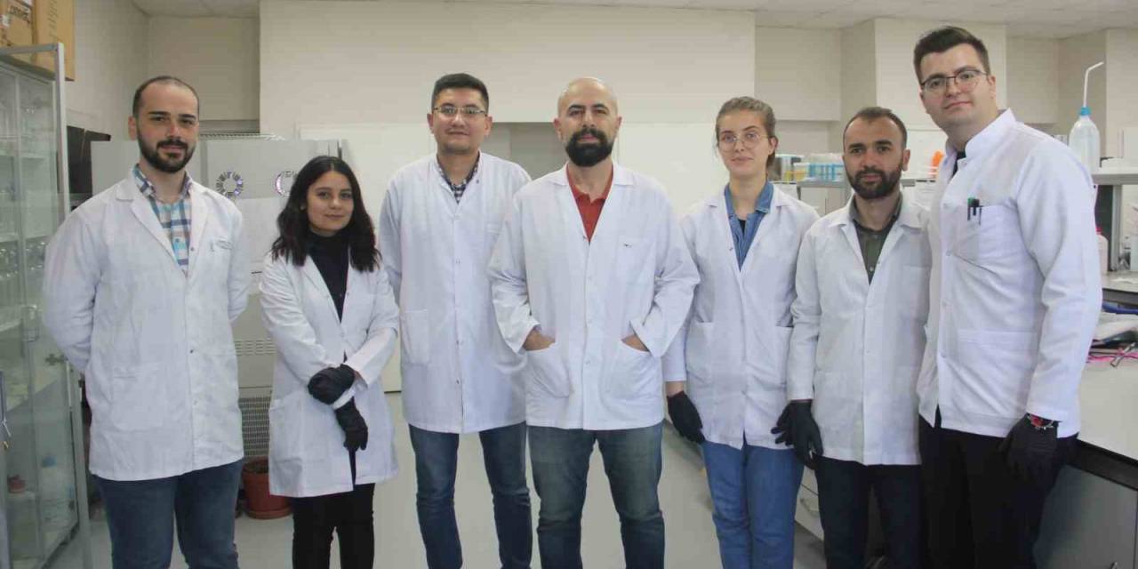 Deniz Salyangozundan Kanser İlacı Adayları Ürettiler