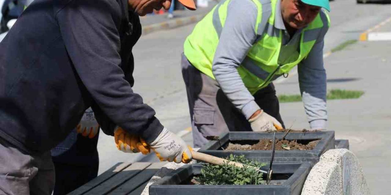 Iğdır’da Şehir Genelinde Çiçek Ekimi