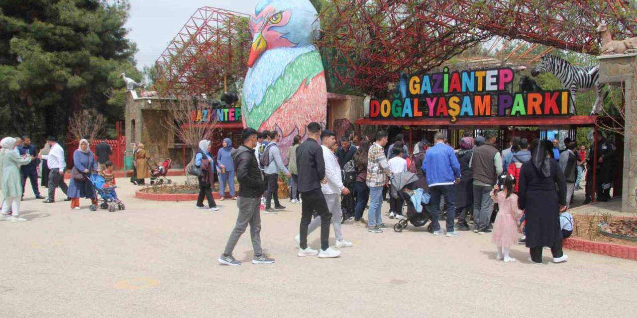 Hayvanat Bahçesini Bayramın İlk 2 Gününde 12 Bin Kişi Ziyaret Etti
