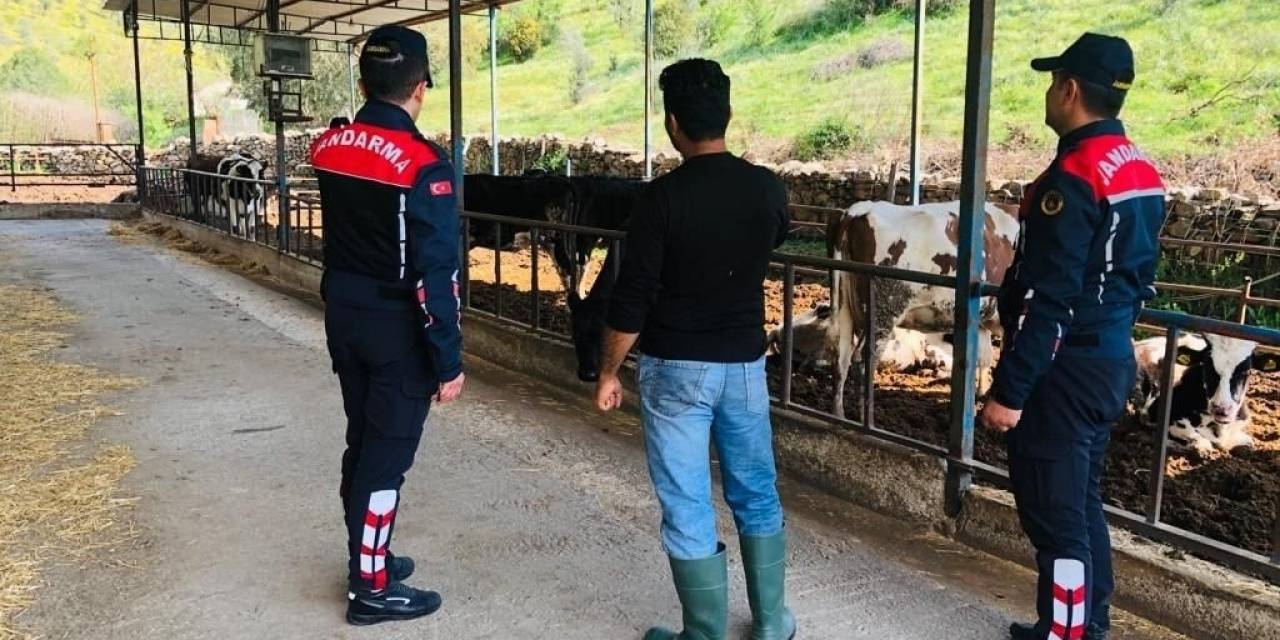 Aydın’da Çiftlik Sahipleri Uyarıldı