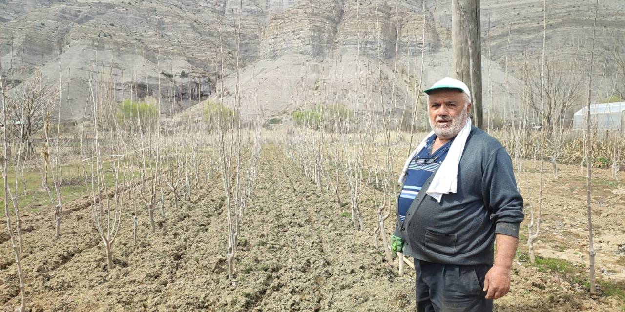 Tek Başına Bin 500 Fidan Yetiştiriyor