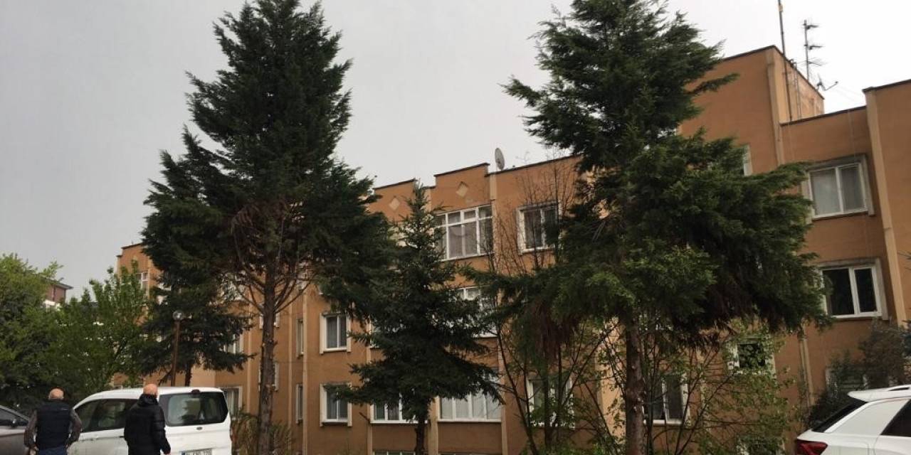 İzmit Belediyesi Tehlike Arz Eden Ağaçlara Müdahale Edecek