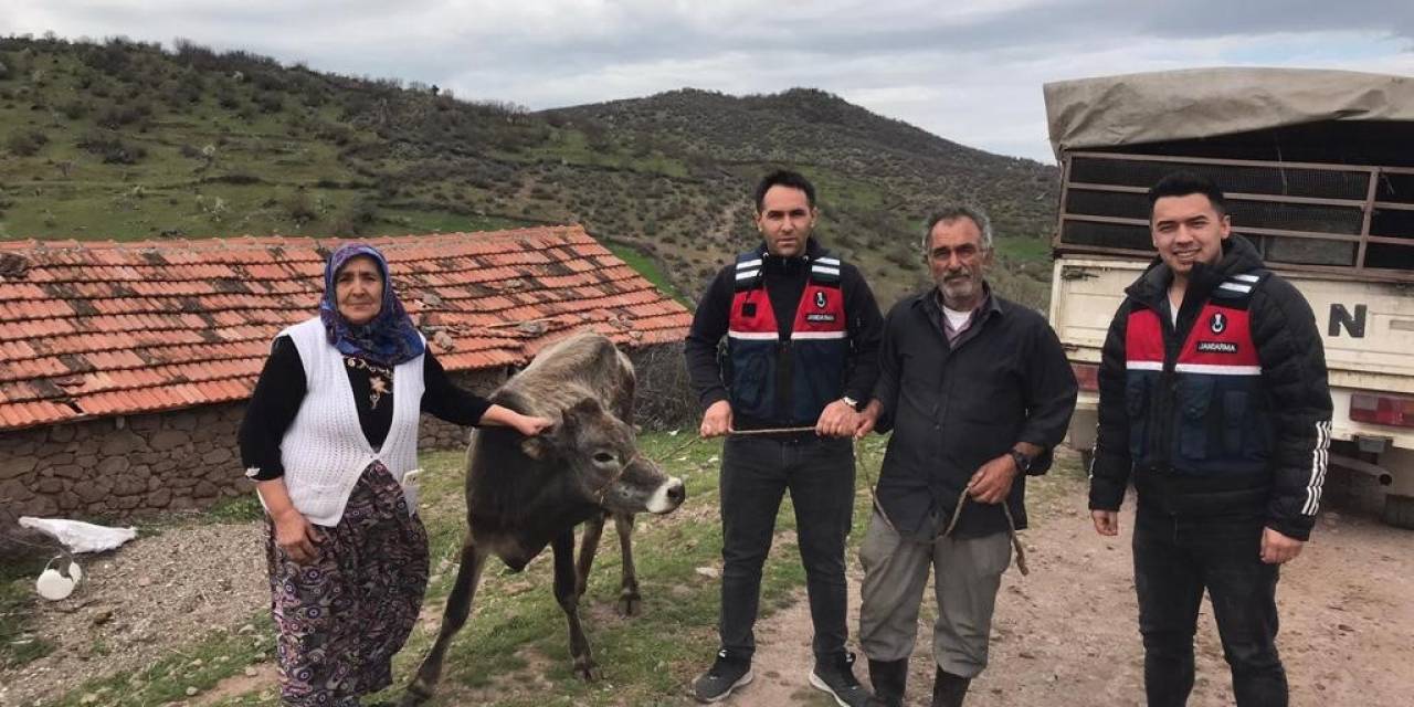 Kurbanlık Hayvanı Çalanları Jasat Yakaladı