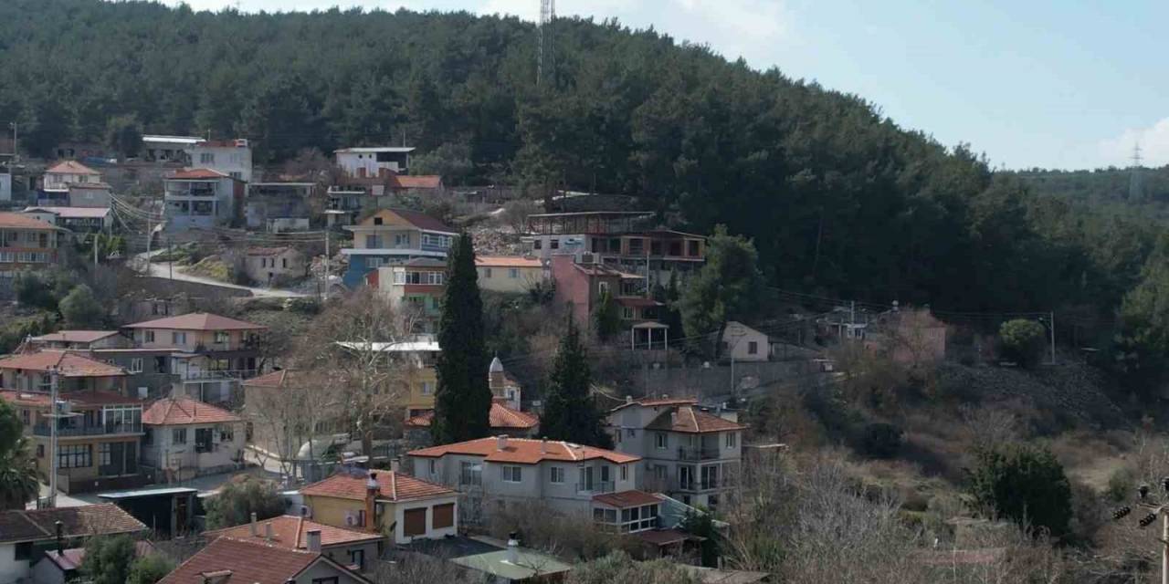 Asırlık Camiye Ve Ormanlarına Gözü Gibi Bakıyorlar