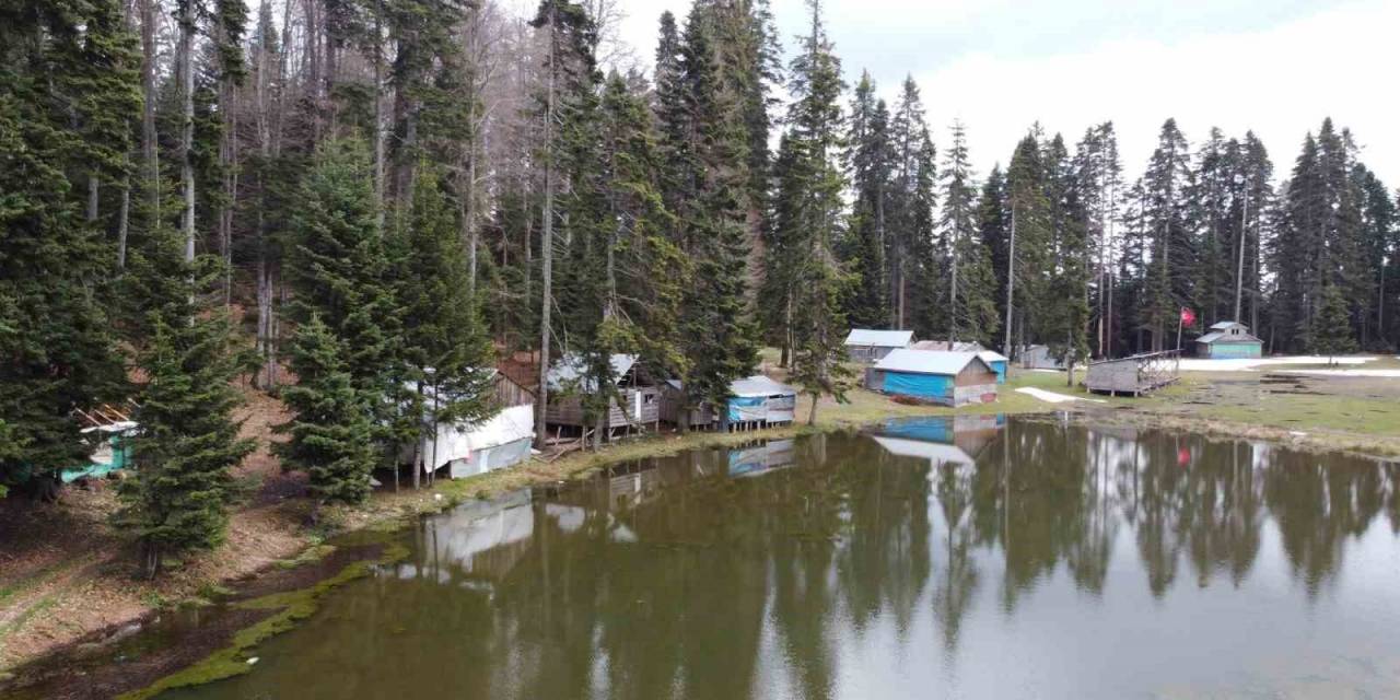 Bolu’nun Doğa Harikası Yaylası Ziyaretçilerini Ağırlıyor