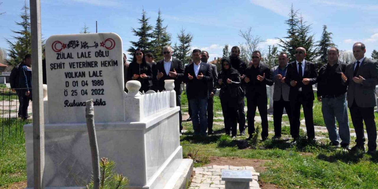 Cinayete Kurban Giden Veteriner Hekim Lale, Kabri Başında Anıldı