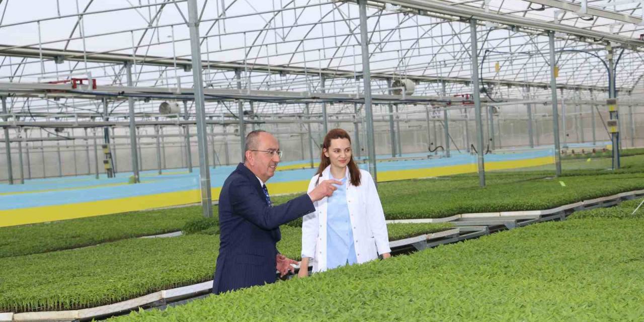 Konya’nın İlk Ve Tek Sebze Fidesi Üretim Merkezinde Satışlar Başladı