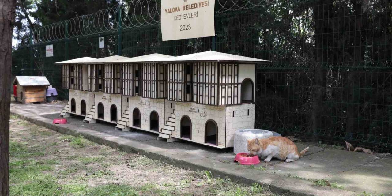 Yalova Belediyesinden Safranbolu Konseptli Kedi Evleri