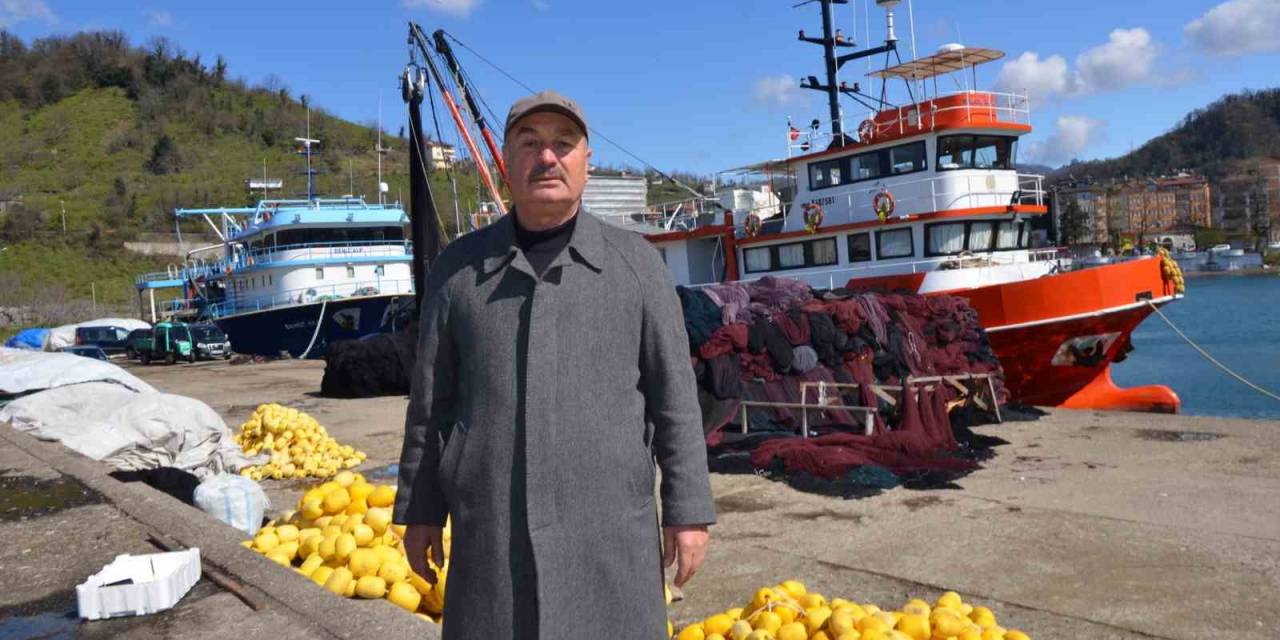 Balıkçıların Yüzü Sezonda Palamut İle Güldü
