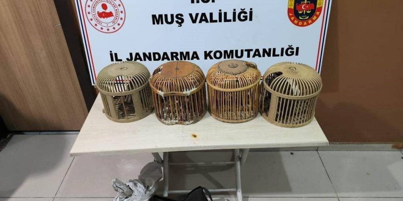 Muş’ta Keklik Avlayan 5 Kişiye 72 Bin 249 Tl İdari Ceza Verildi