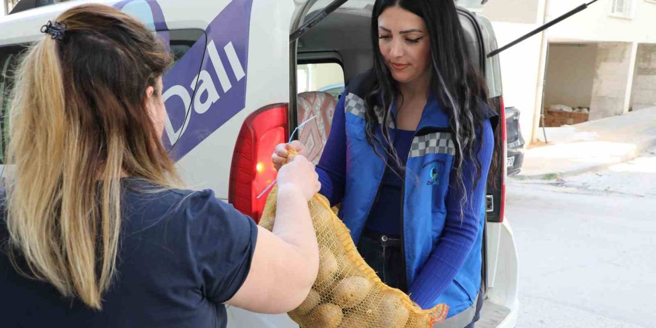 Mudanya Belediyesi’nden Vatandaşın Sofrasına 30 Ton Patates