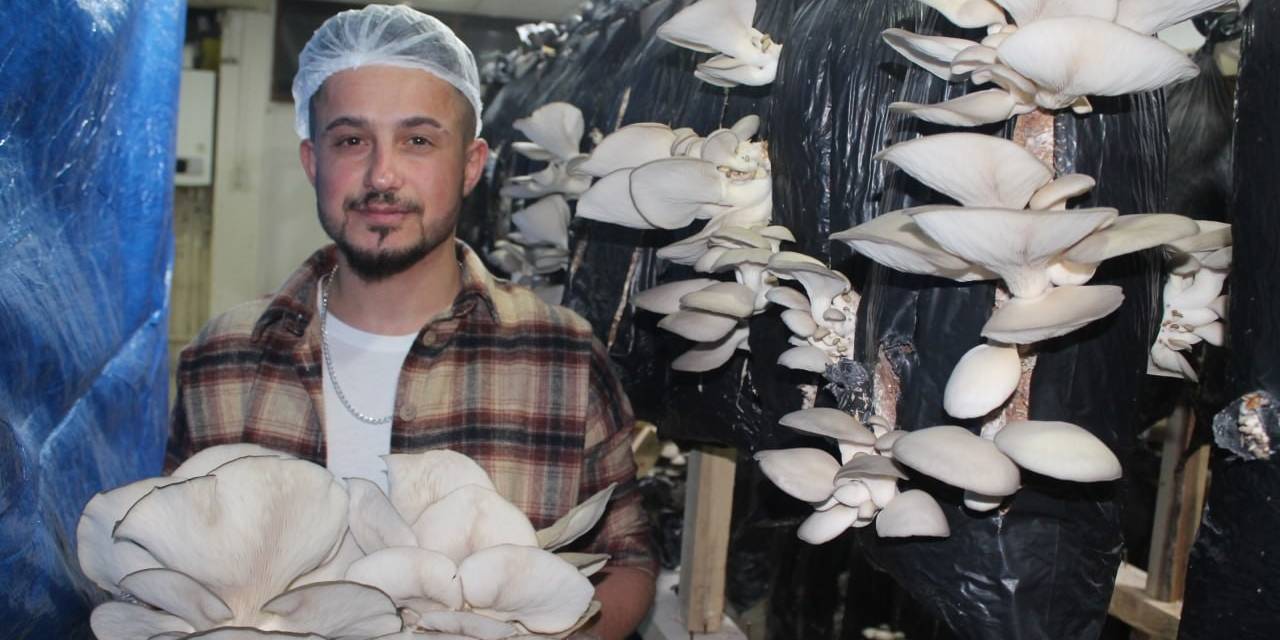 Tır Şoförlüğünü Bırakıp Hayallerinin Peşinden Gitti Yakın Arkadaşıyla Birlikte İstiridye Mantarı Üretimine Başladı