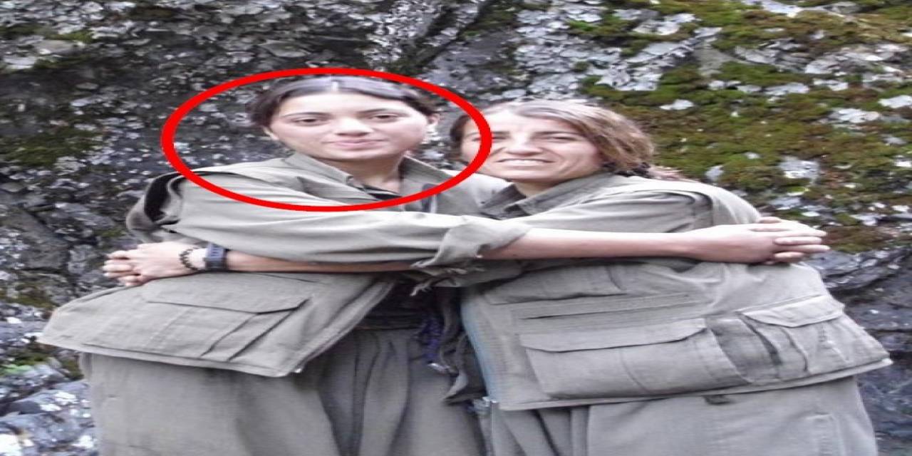 Pkk’nın Kırsal Alan Yapılanmasına Katılan Yeşil Sol Parti Milletvekili Adayı İstanbul’da Yakalandı