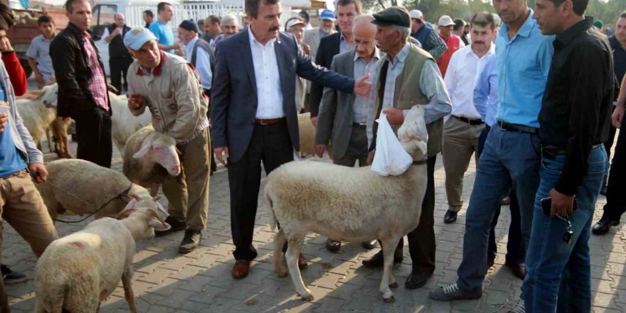 Bursa’da Hayvan Pazarları Açılıyor