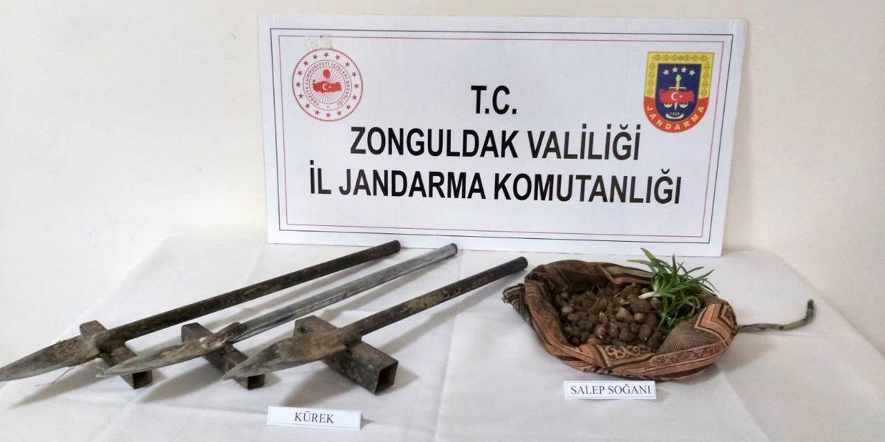 Salep Soğanı Toplarken Yakalandılar
