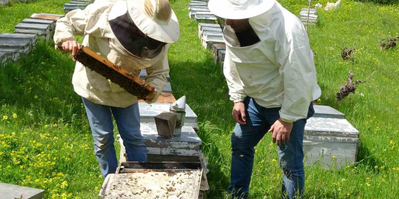 Siirt’te Bahar Yağmurları Arıcıların Yüzünü Güldürdü
