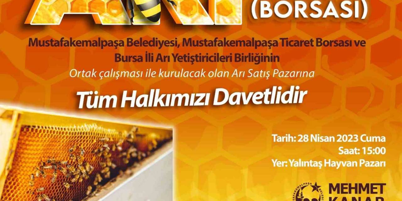 Türkiye’nin İlk Arı Pazarı Bursa Mustafakemalpaşa’ya Kurulacak