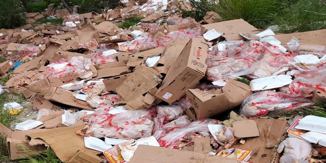 Paket Paket, Koli Koli Ormana Dökmüşler