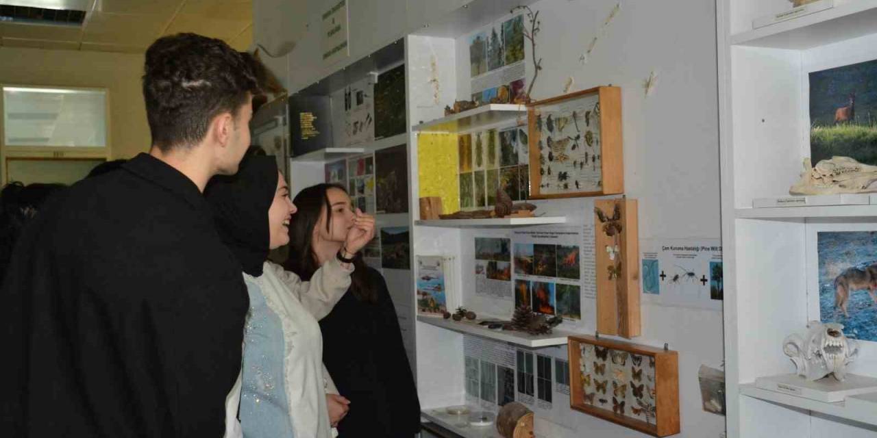 Liseliler Düzce Üniversitesi’nde