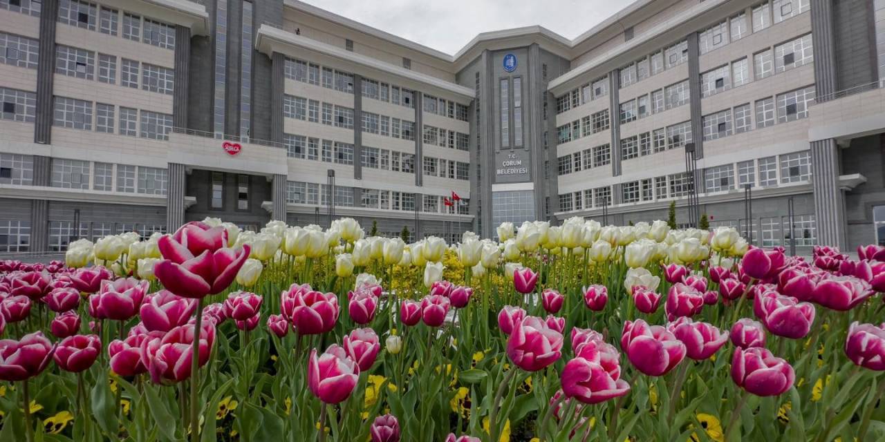 Belediye, Şehri Lale Ve Sümbüllerle Donattı