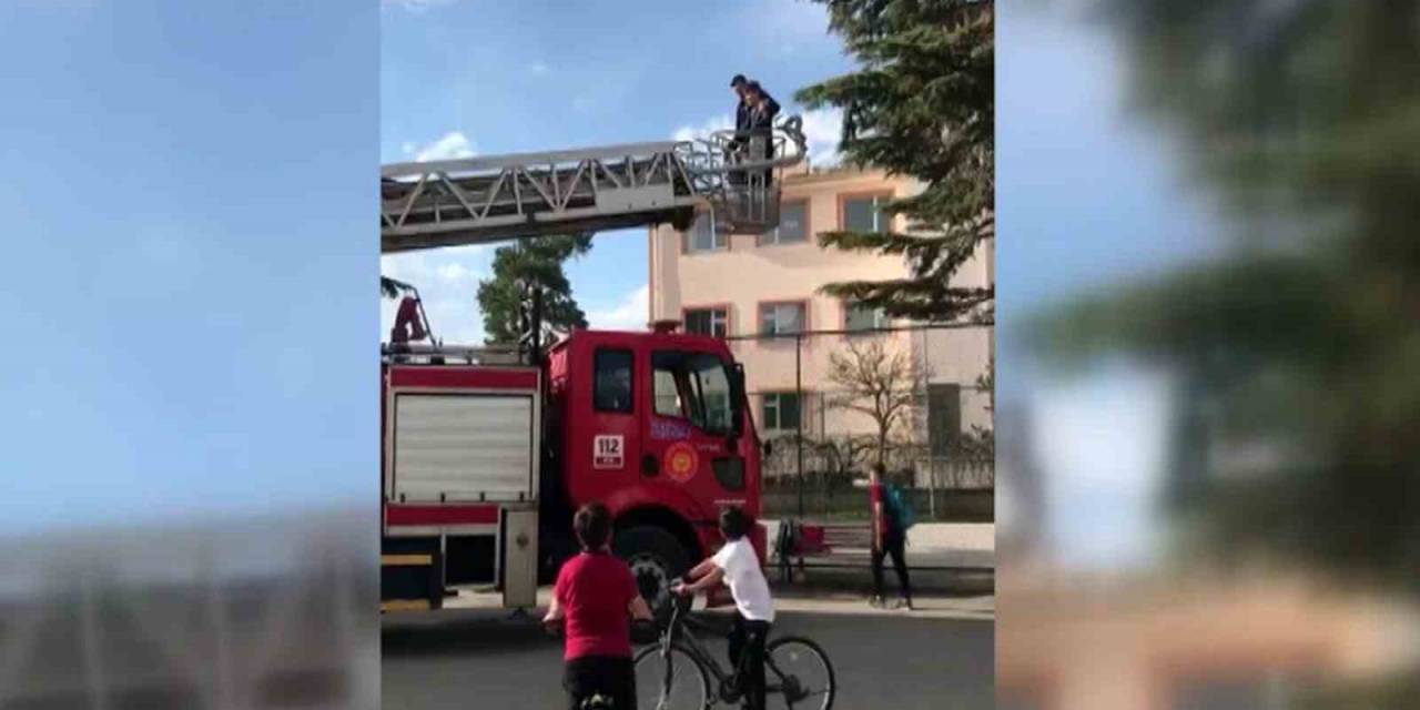 Çıktığı Ağaçtan İnemeyen Çocuğu İtfaiye Kurtardı