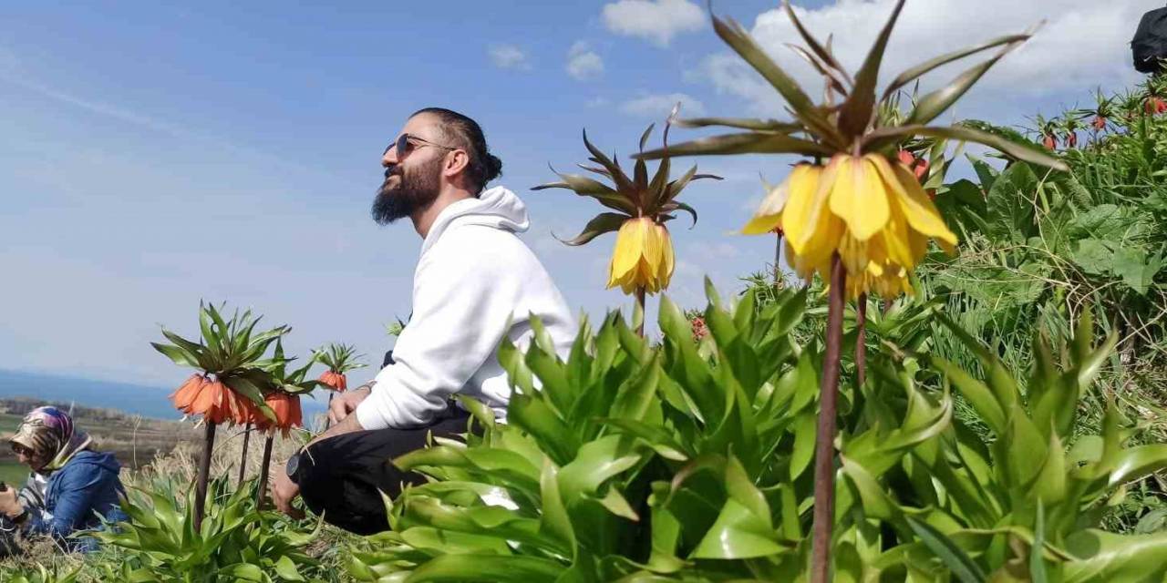 Zerrinkadeh Çiçekleri Ve Terslaleler Doğal Fotoğraf Stüdyosu Oldu