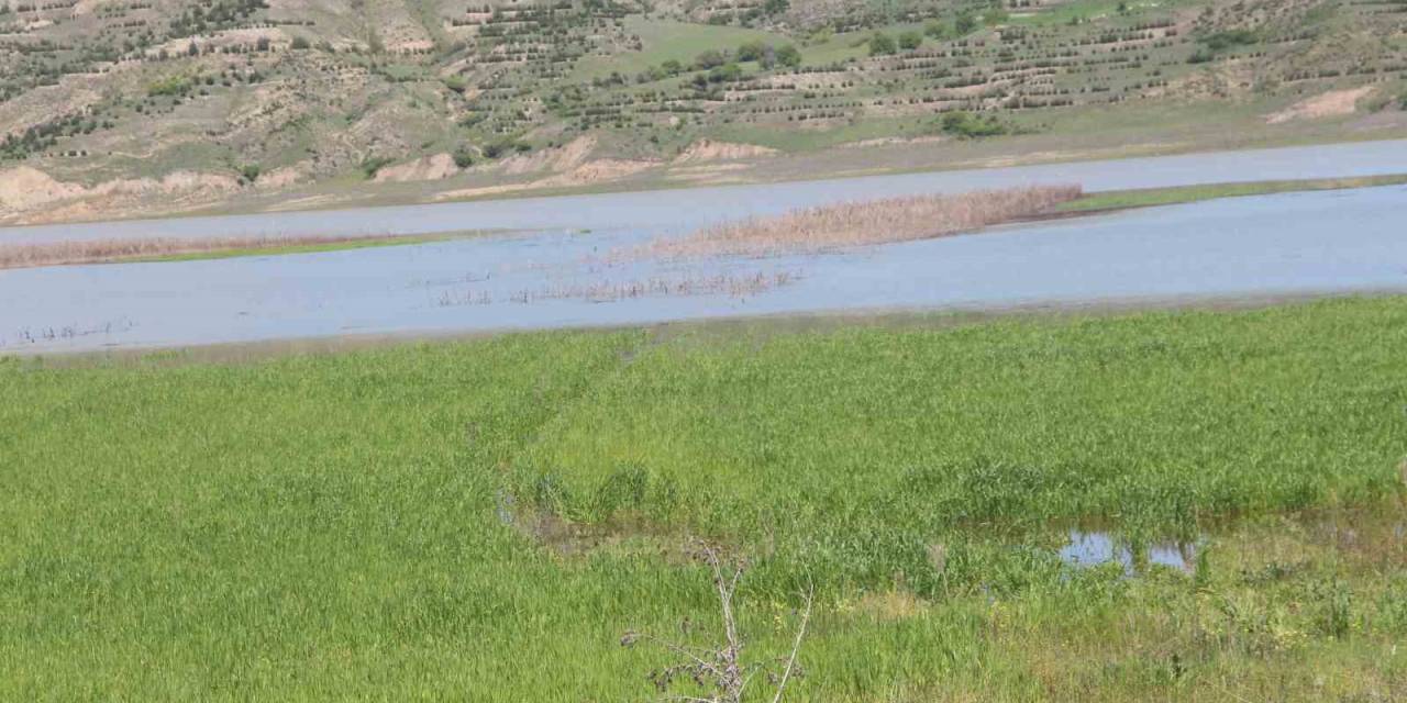 Tarımsal Sulama Ücretlerinin Yüzde 50’si Devlet Tarafından Karşılanacak